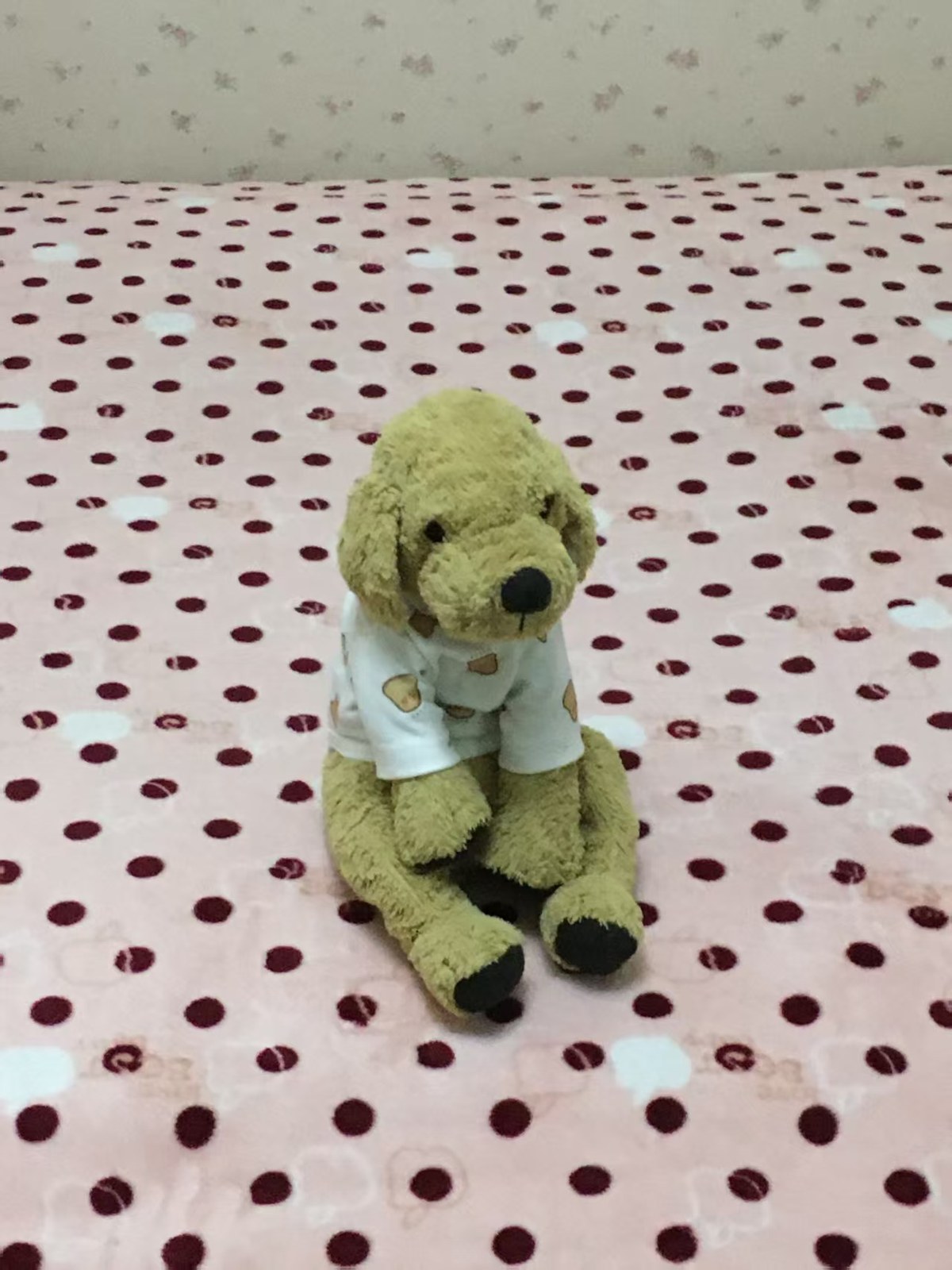 小金毛玩偶在格子床单上
