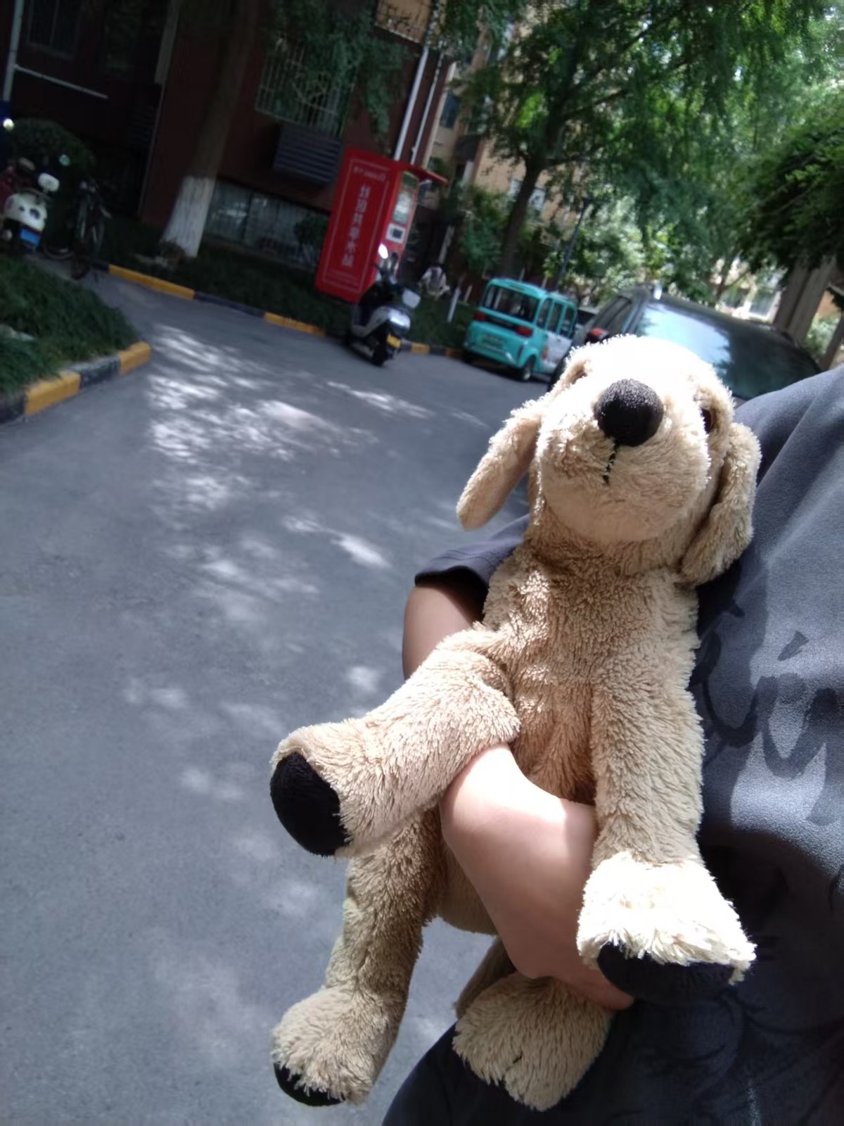 主人抱着金毛玩偶走在户外