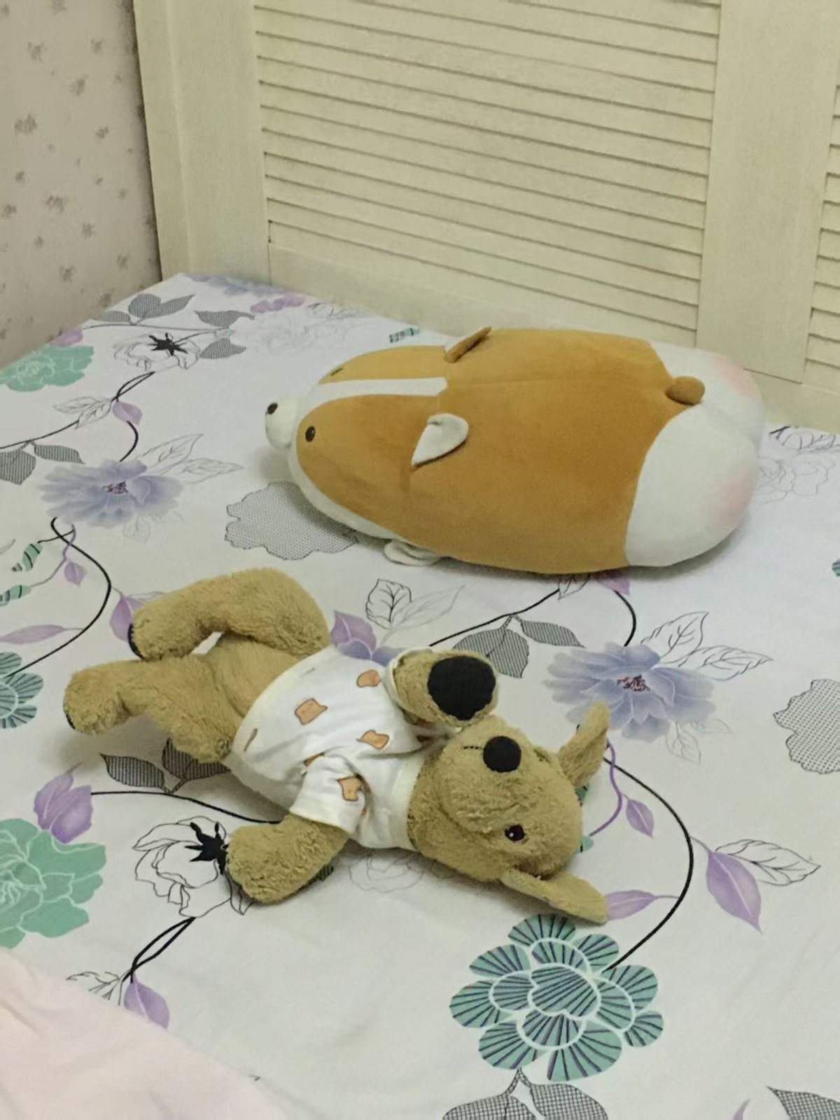 金毛和小黄依偎在一起