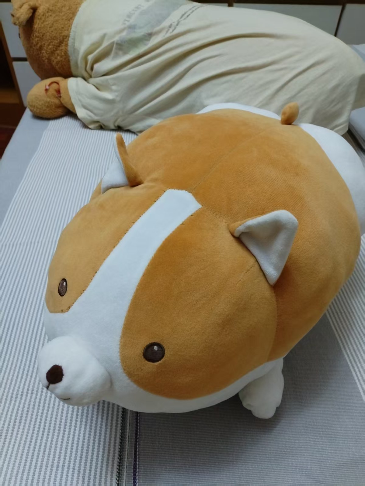 胖乎乎的小黄柯基玩偶，像一个软枕头