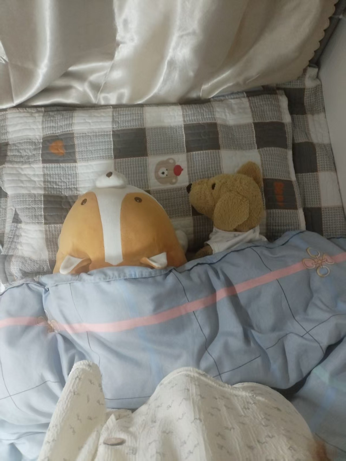 小黄与金毛两个玩偶躺在被子上