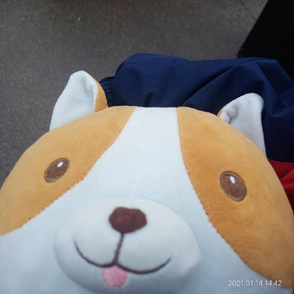 小黄柯基毛绒玩偶的可爱正面照